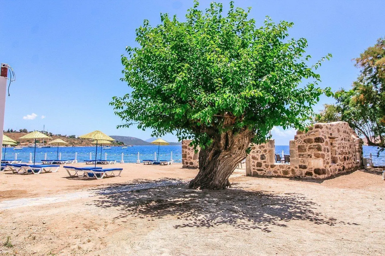 Hotel Club Muskebi Bodrum